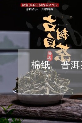 棉纸 普洱茶/2023042801190